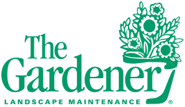 The Gardener 