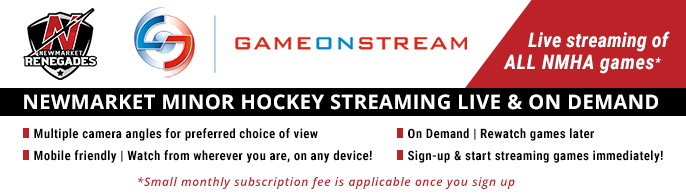 NMHA-game-on-stream-2.png