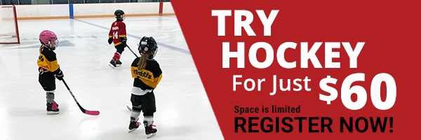Skate-to-Success-banner-2025.png