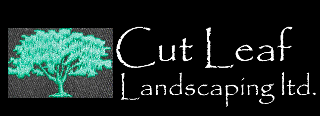 Cut Leaf Landscaping